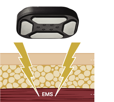 EMS肌肉電刺激運作過程