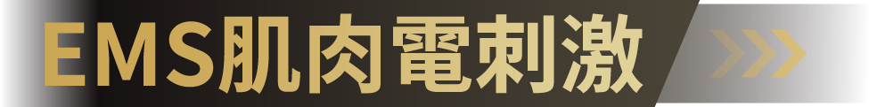 EMS肌肉電刺激